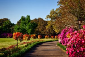 garden services garden services
