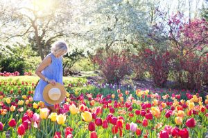 gardening service gardening service