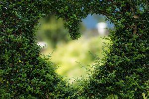 gardening services gardening services